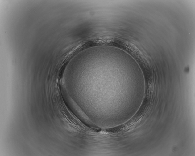 X0000095551250200712211402