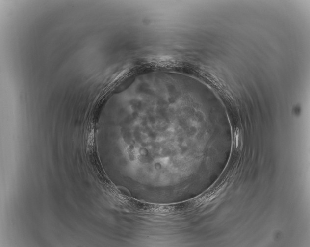 X0000095551251200712211402