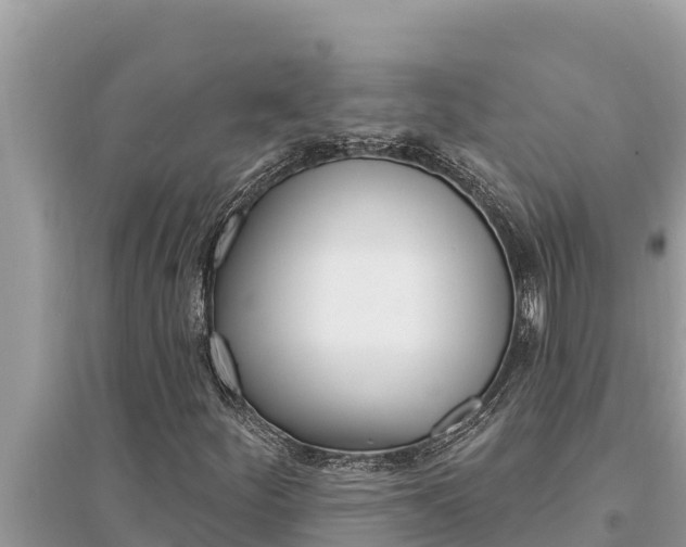 X0000095551252200712211402