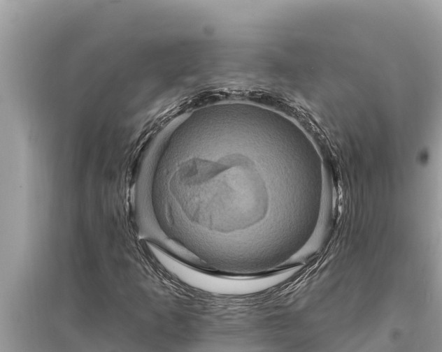 X0000095551253200712211402