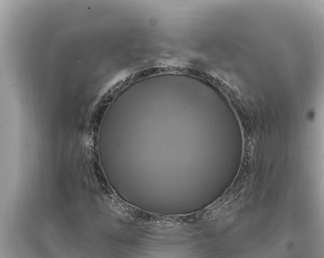 X0000095551254200712211402