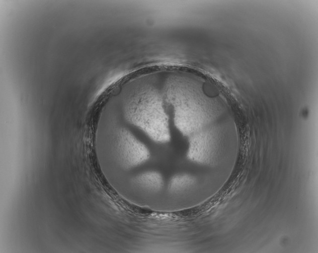 X0000095551255200712211402