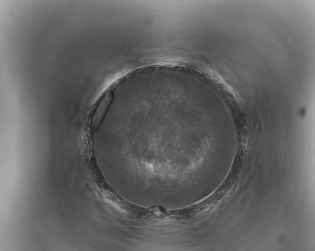 X0000095551256200712211402