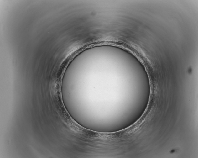 X0000095551258200712211402