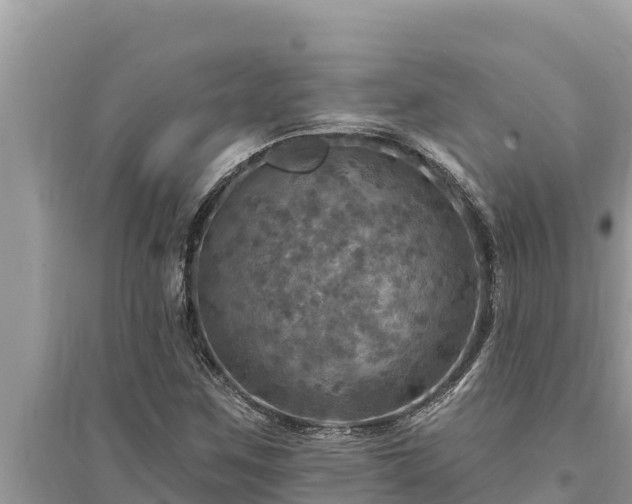 X0000095551259200712211402