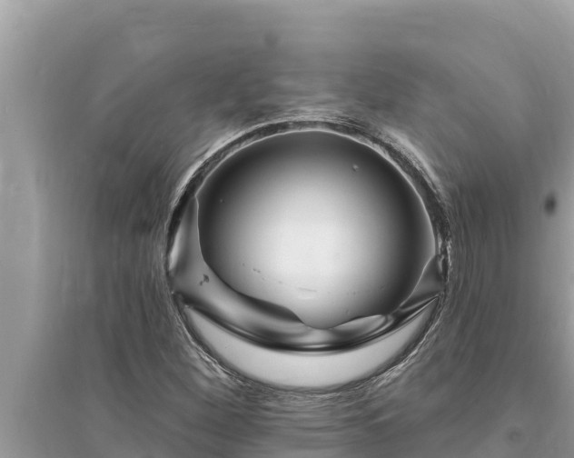 X0000095551260200712211402