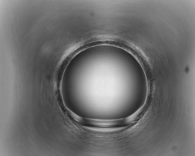 X0000095551261200712211402