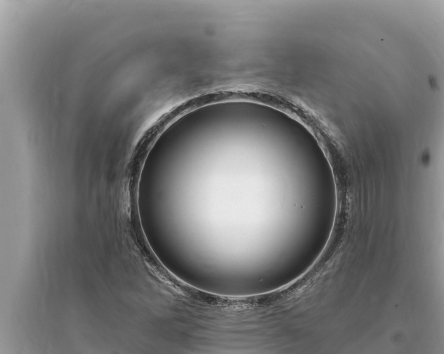 X0000095551262200712211402