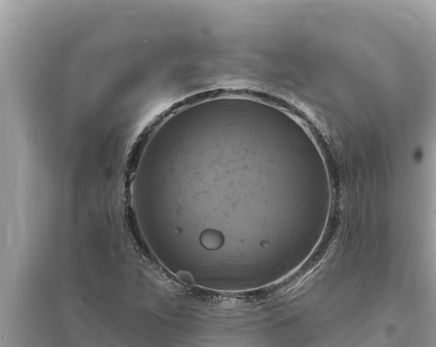 X0000095551263200712211402