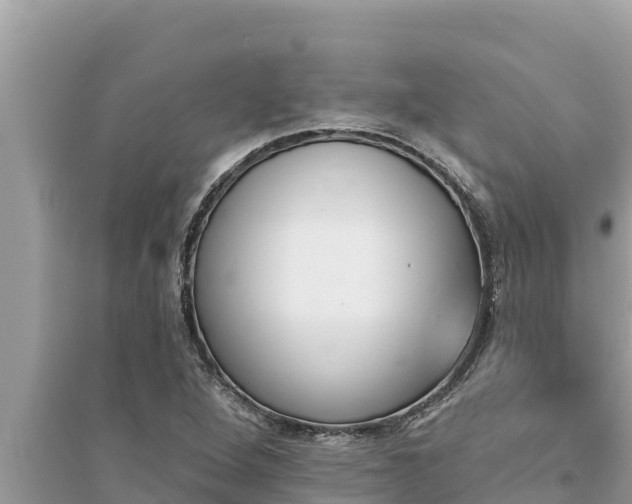 X0000095551264200712211402