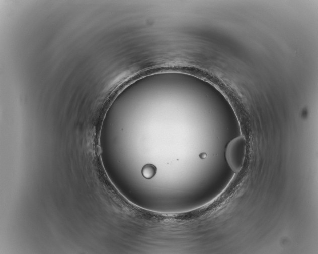 X0000095551265200712211402