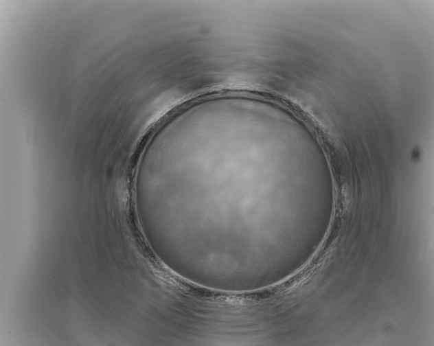 X0000095551266200712211402