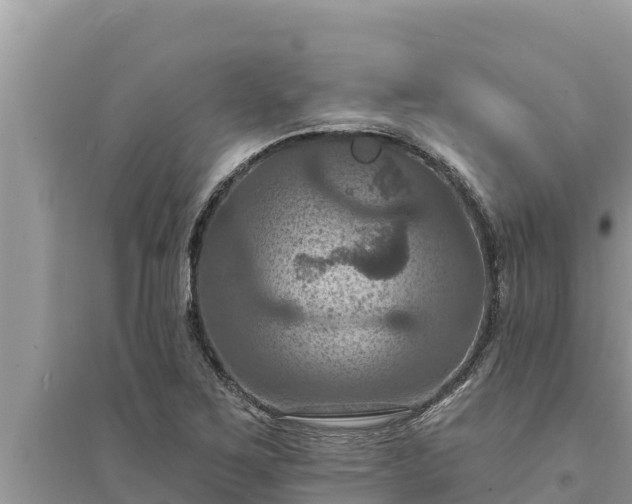 X0000095551267200712211402