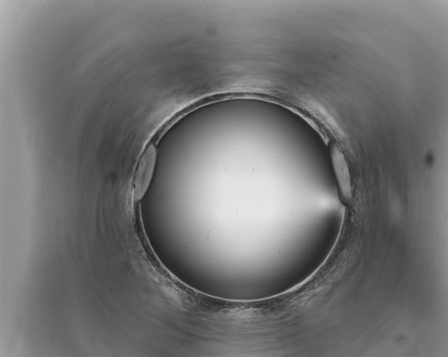 X0000095551268200712211402