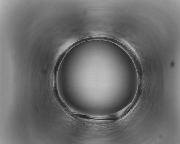 X0000095551269200712211402