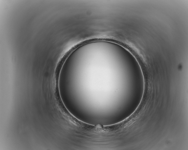 X0000095551270200712211402