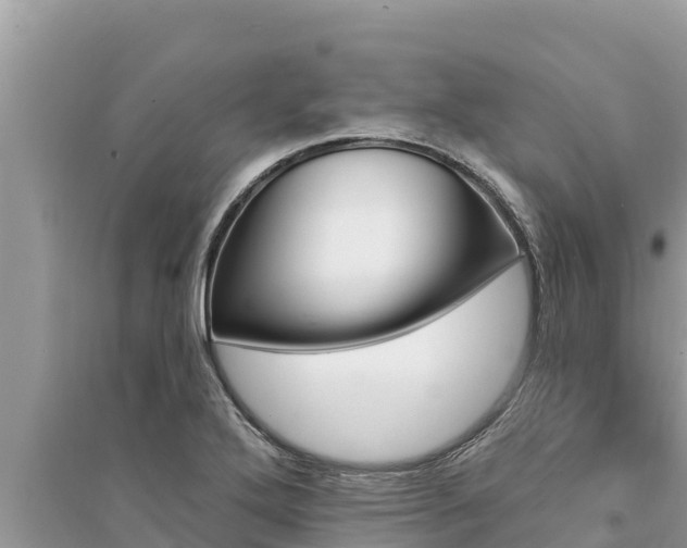 X0000095551272200712211402