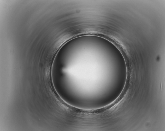 X0000095551273200712211401