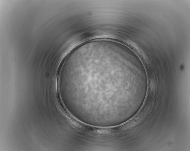 X0000095551274200712211401