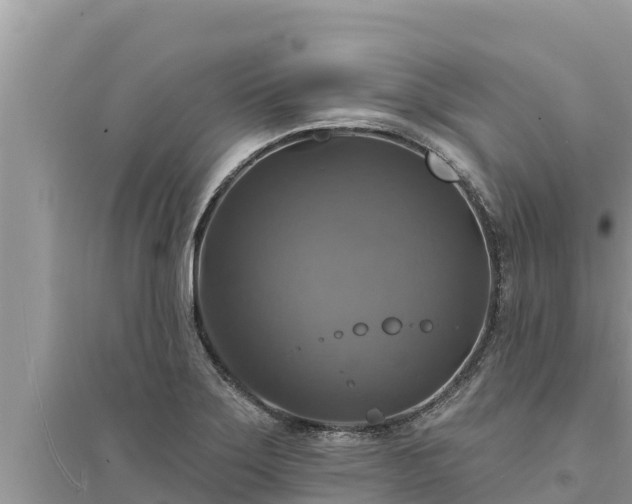 X0000095551275200712211401