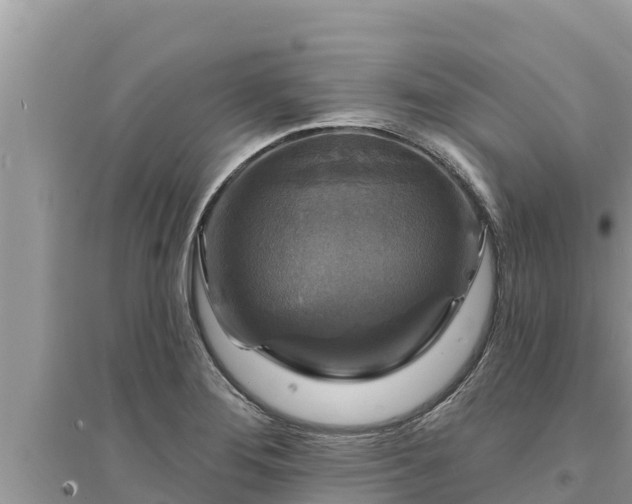 X0000095551276200712211401