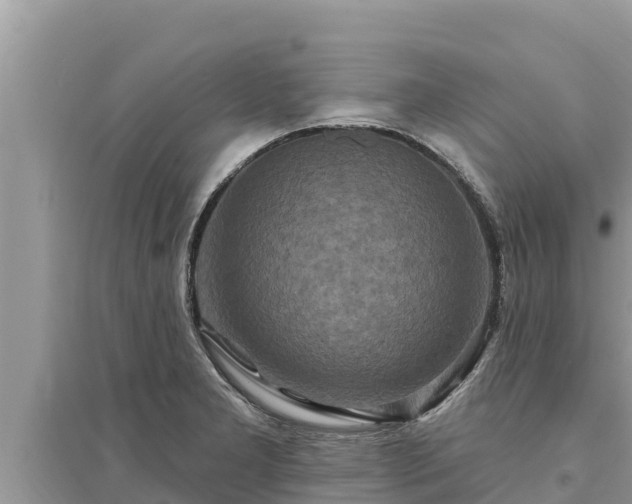 X0000095551277200712211401