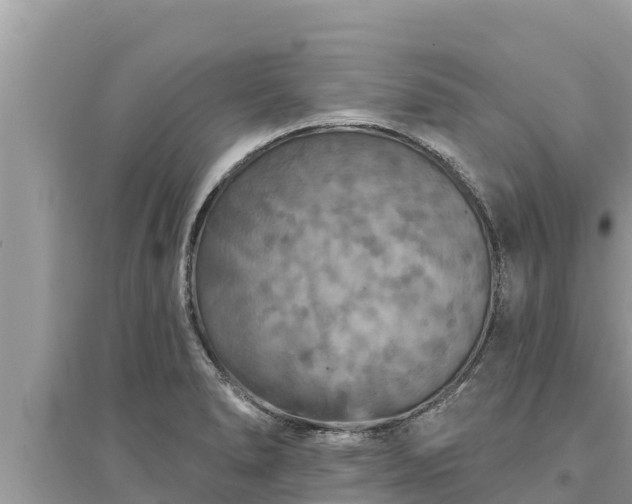 X0000095551278200712211401