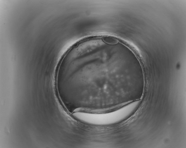 X0000095551279200712211401