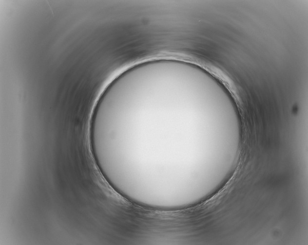 X0000095551280200712211401