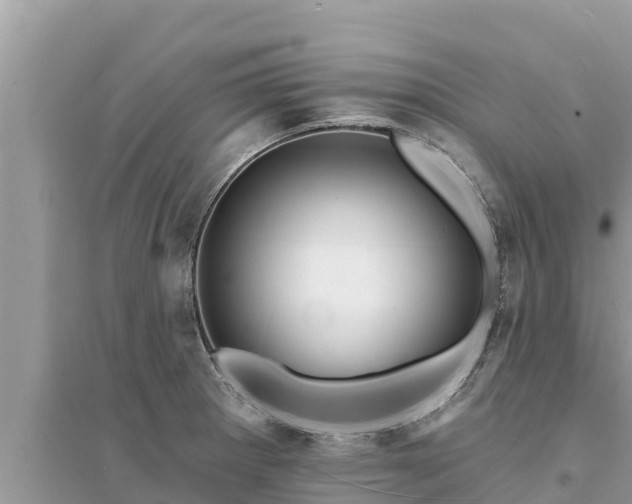 X0000095551281200712211401