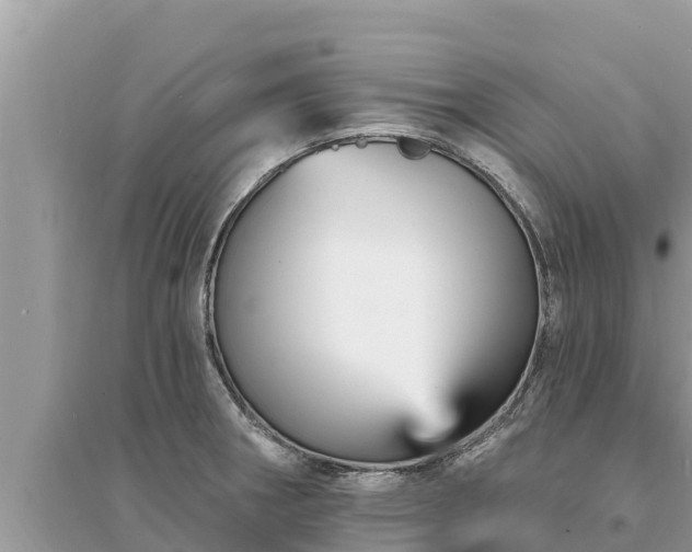 X0000095551282200712211401