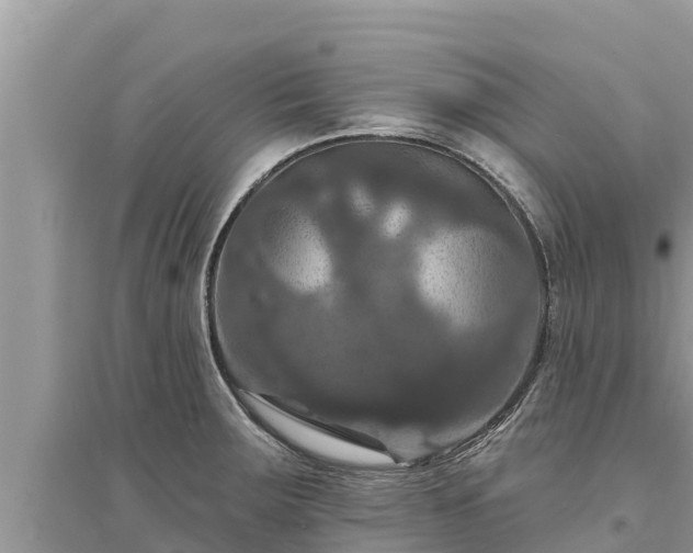 X0000095551283200712211401