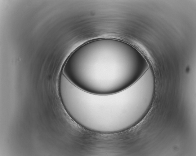 X0000095551284200712211401