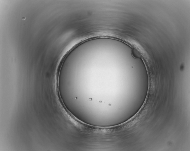 X0000095551286200712211401