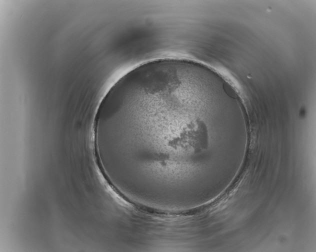 X0000095551287200712211401