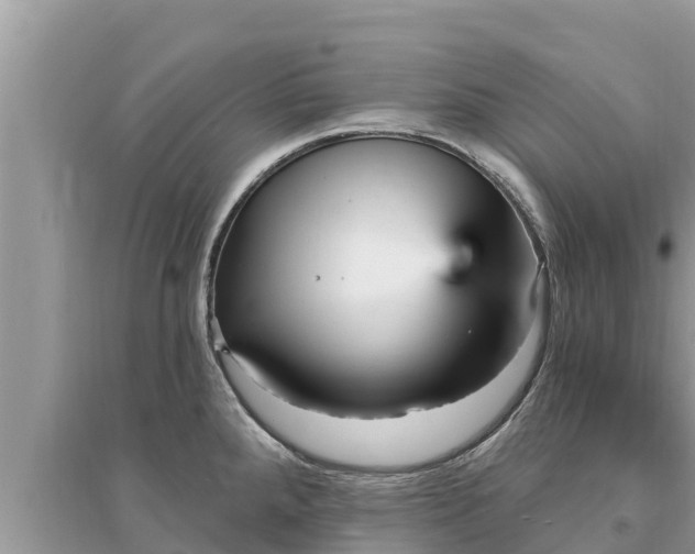 X0000095551288200712211401