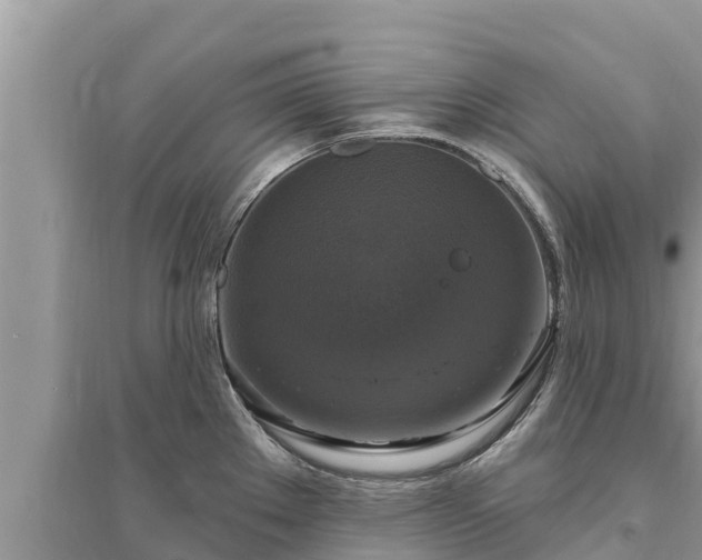 X0000095551289200712211401