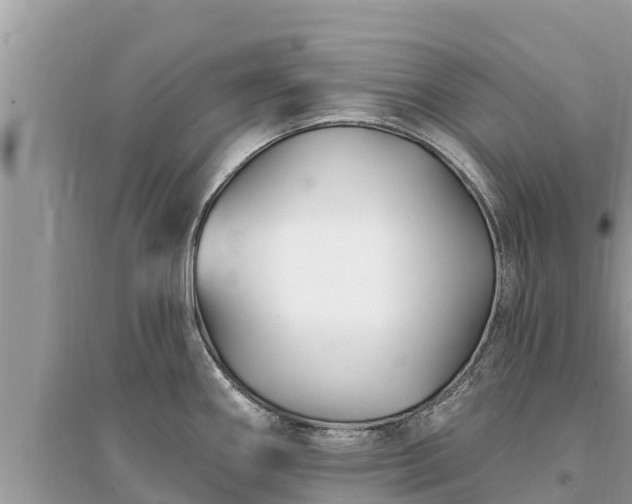 X0000095551290200712211401