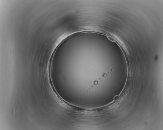 X0000095551291200712211401