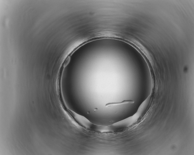 X0000095551293200712211401