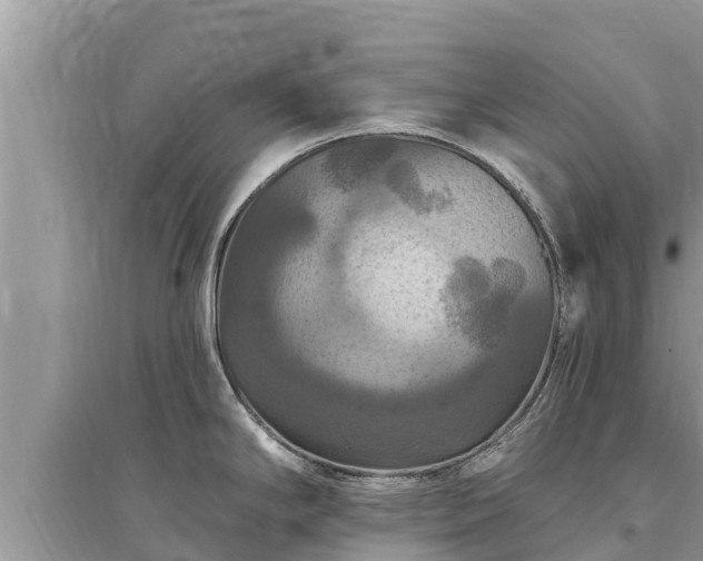 X0000095551294200712211401