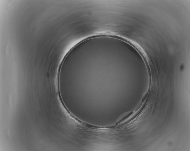 X0000095551295200712211401