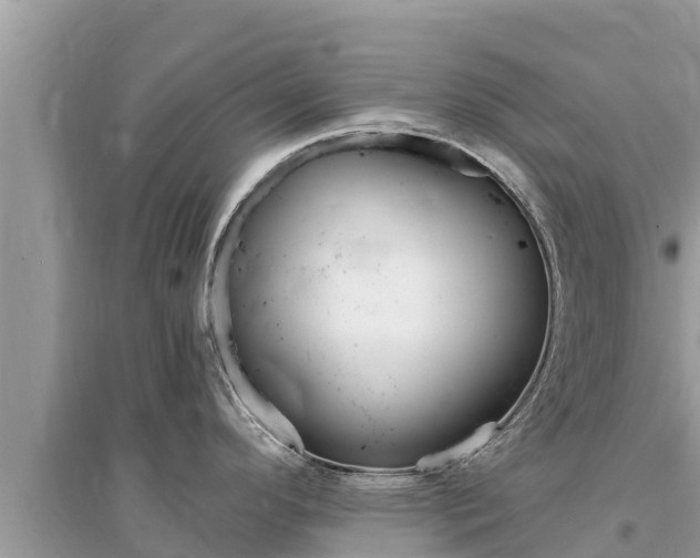 X0000095551296200712211401