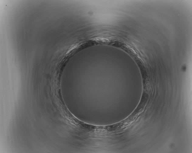 X0000095551297200712211401