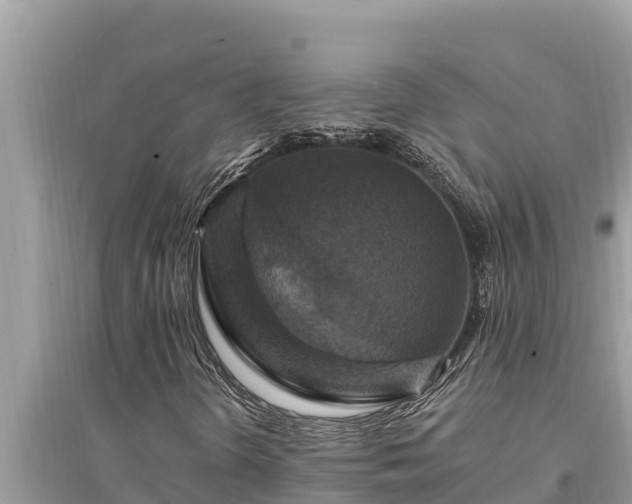 X0000095551298200712211401