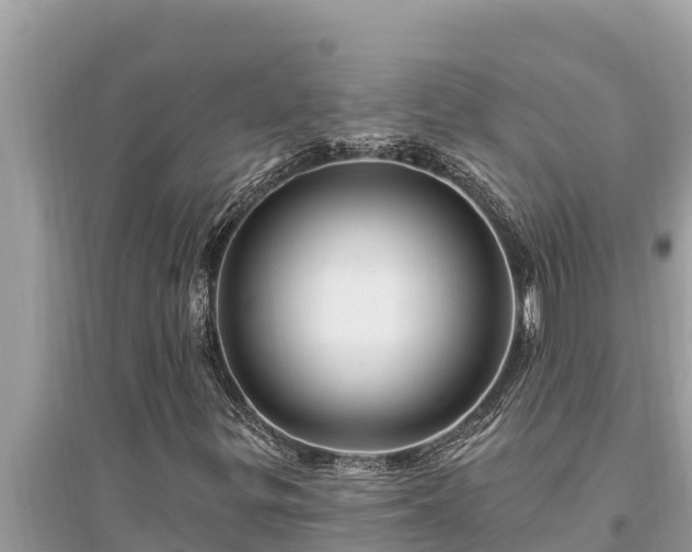 X0000095551299200712211401