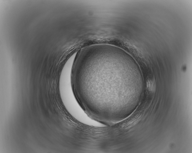 X0000095551300200712211401