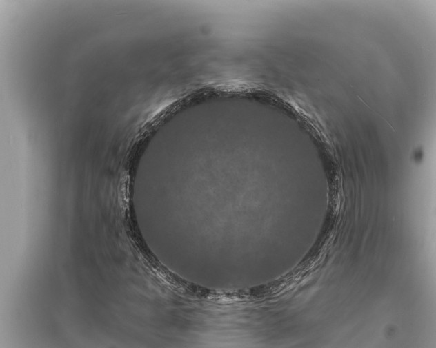 X0000095551301200712211401