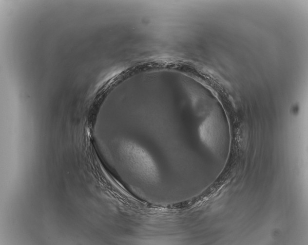 X0000095551302200712211401