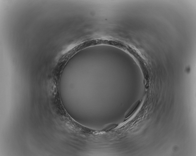 X0000095551303200712211401